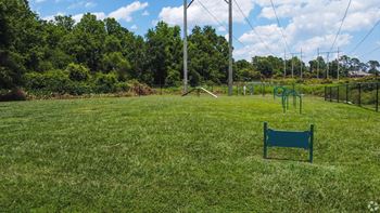 a swing set in a grassy area with trees in the background  at St. Andrews Reserve, Wilmington